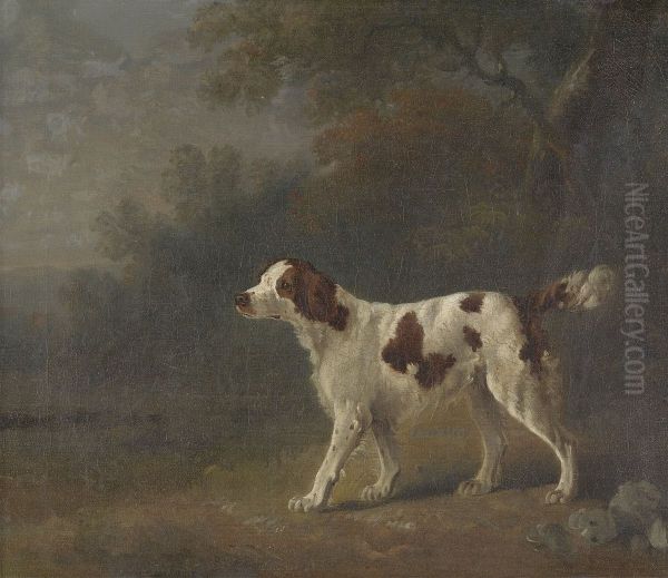 A Setter at the Edge of a Wood - view 1