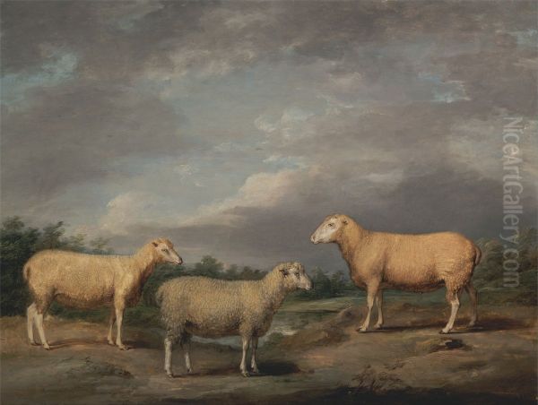 Ryelands Sheep, the King's Ram, the King's Ewe and Lord Somerville's Wether - view 1