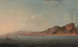 View of Santa Cruz, Tenerife