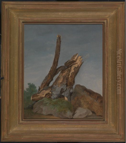 Study of Rocks and Branches - view 1