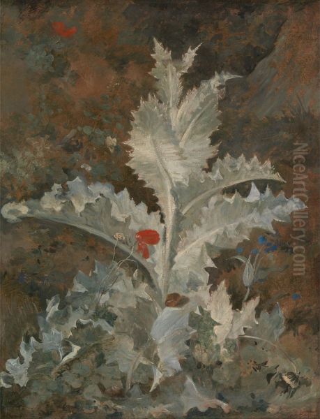 A Thistle - view 1