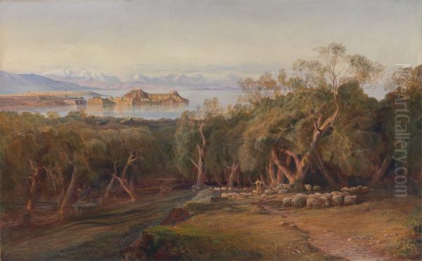 Corfu from Ascension - view 1