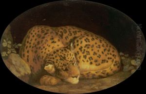 Sleeping Leopard by George Stubbs