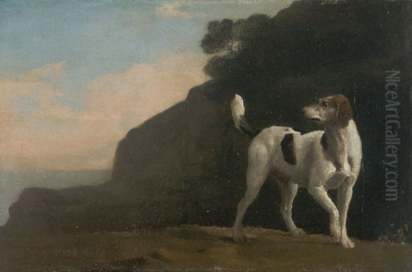 Foxhound - view 1