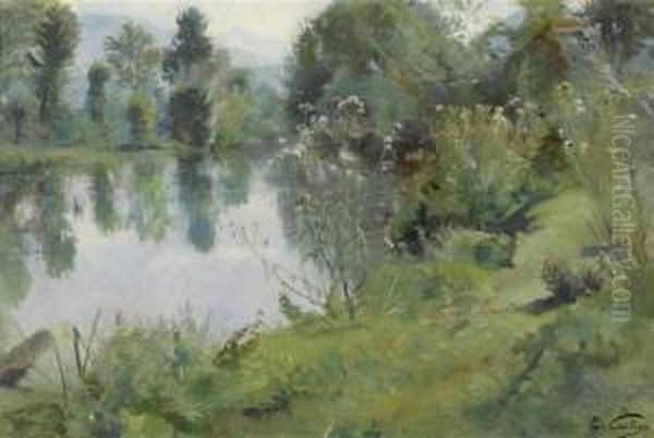 Landscape - view 1