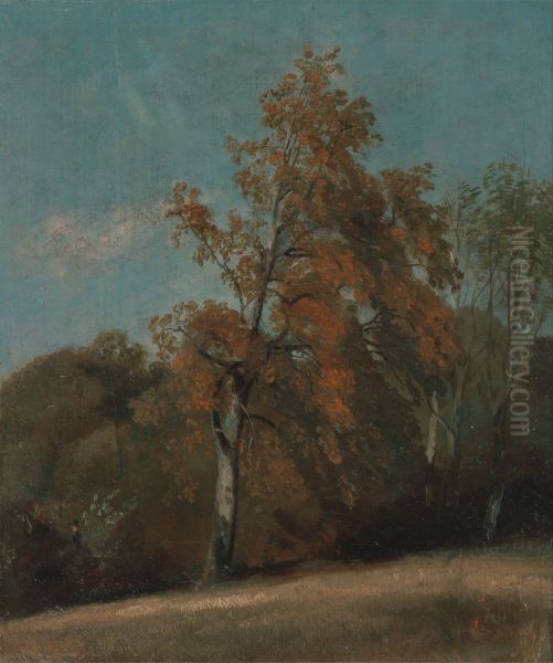 Study of an Ash Tree - view 1