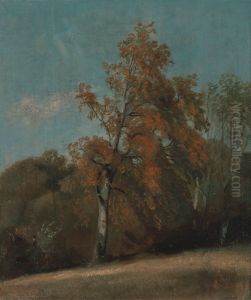 Study of an Ash Tree