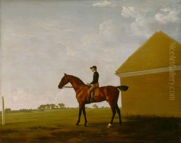 Turf, with Jockey up, at Newmarket - view 1