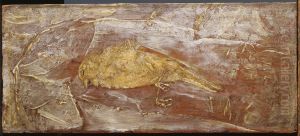 Dead Bird