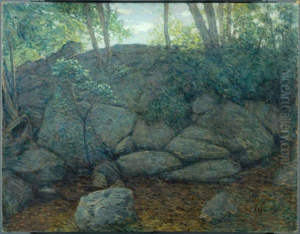 Woodland Rocks - view 1