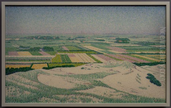 Landschaft auf der Insel Walcheren - view 1