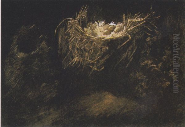 Still Life with three Bird-nests - view 1