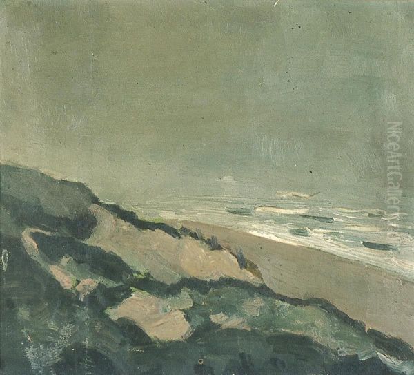 Dunes and sea - view 1
