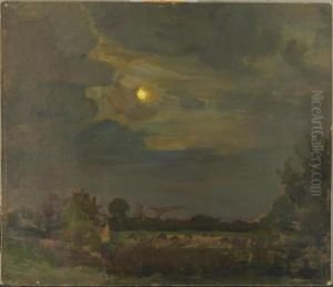 Landschap bij maanlicht