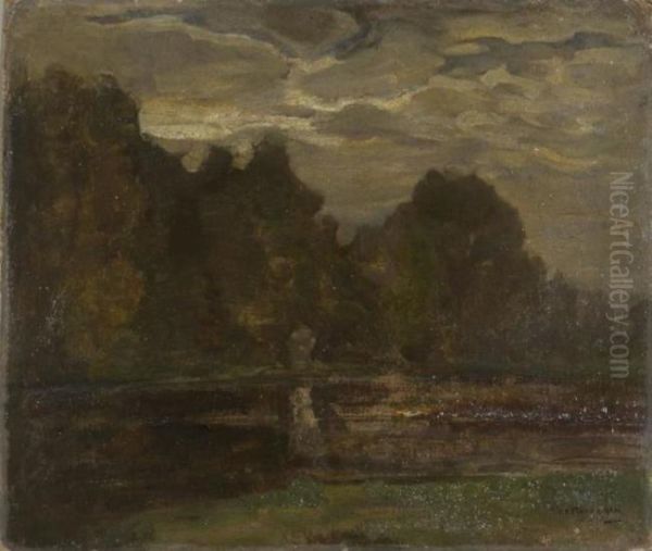 Fen near Saasveld - view 1