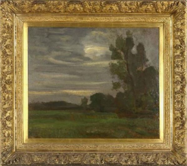 Veld met bomen bij avond - view 1