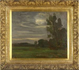 Veld met bomen bij avond