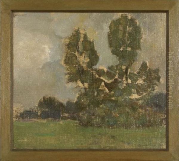 Veld met bomengroep bij avond II - view 1