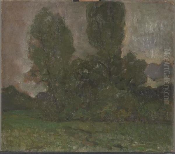 Veld met bomengroep bij avond I - view 1