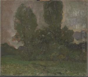 Veld met bomengroep bij avond I