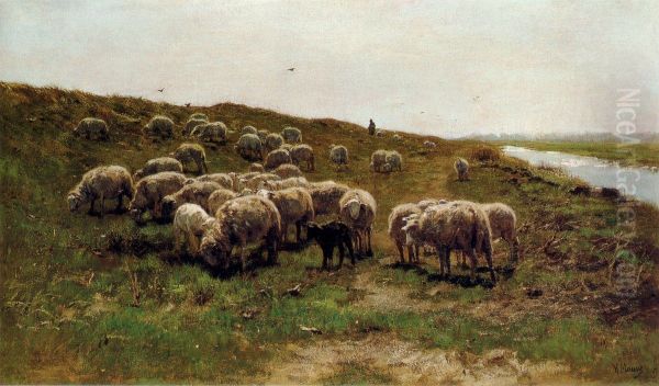 Flock of sheep on a dike - view 1