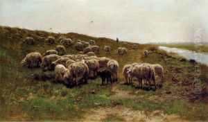 Flock of sheep on a dike