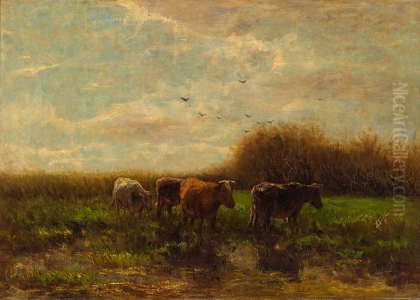 Cows at evening - view 1