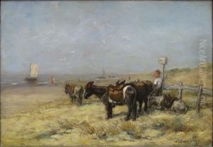 Ezeltjes aan het strand