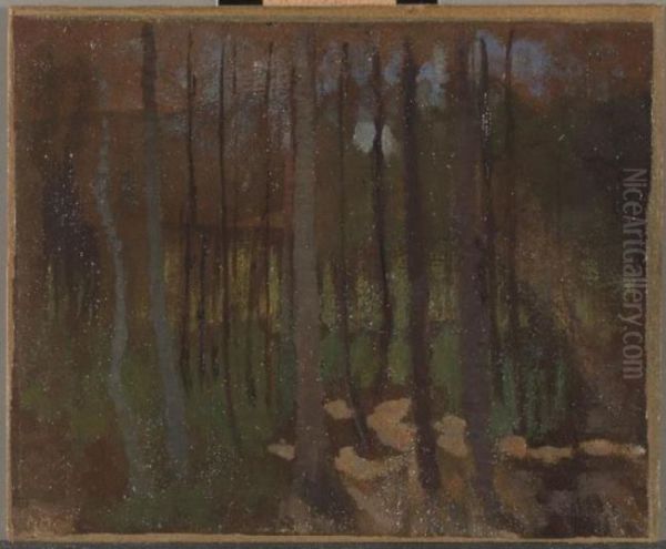 Woods - view 1