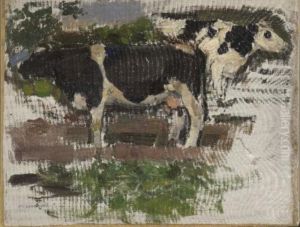 Study of two cows