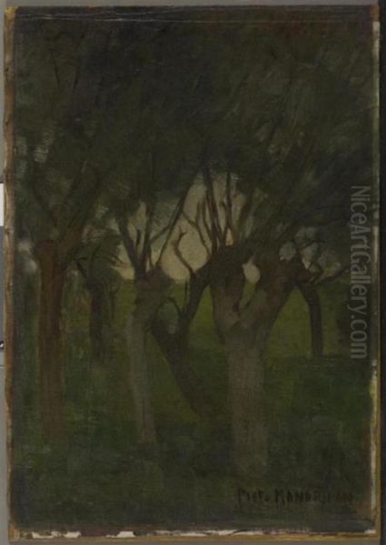 Willow grove with flattened images - view 1