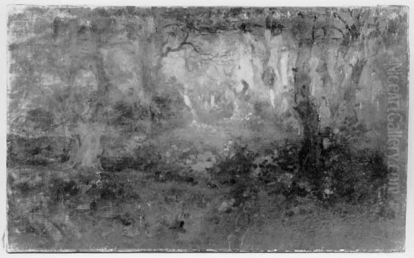 Het betoverde bos - view 1