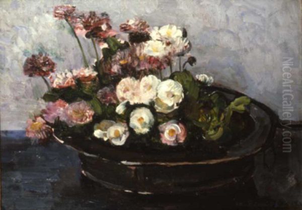 Daisies - view 1