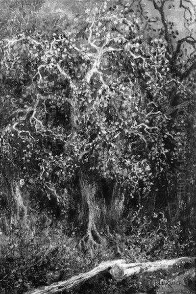 Sous-Bois - view 1