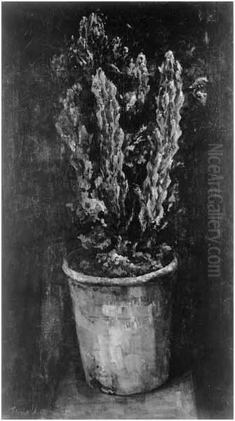 Cactus in pot - view 1