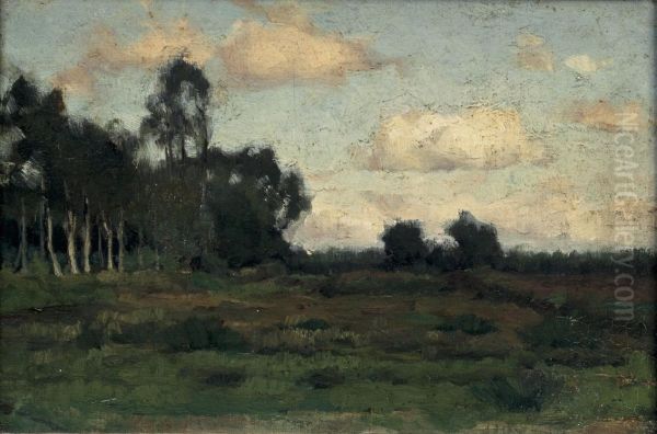Gezicht op de heide bij Rolde - view 1