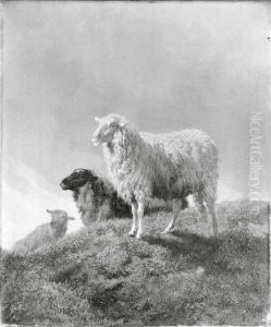 Schapen in een weide by Dirk Van Lokhorst