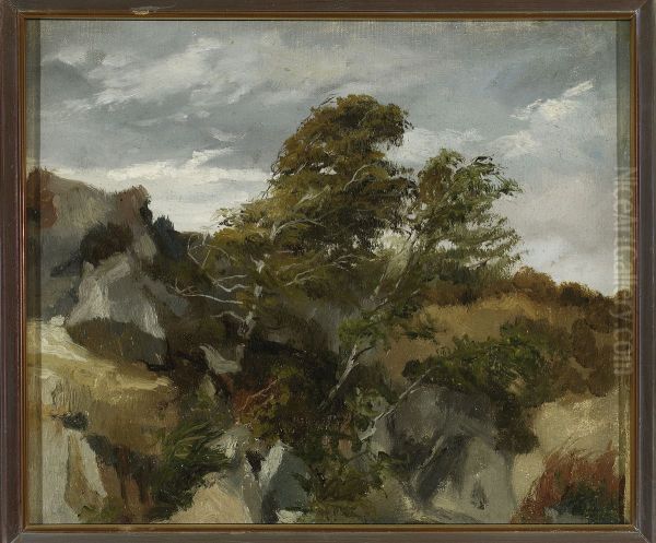 Landscape from Bortniki at the Dniester River - view 1