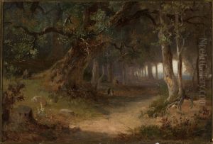 Forest edge