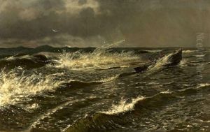 Baltic Sea near Palanga thumbnail