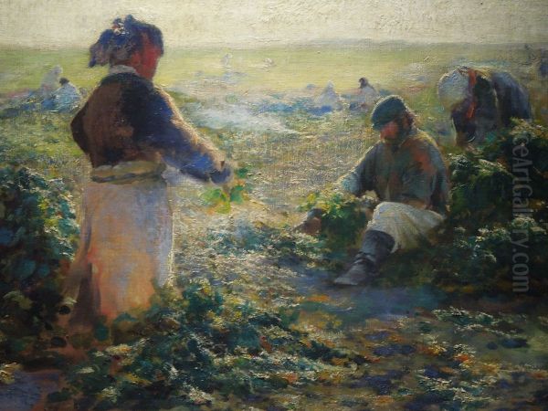 Digging Beets I - view 1