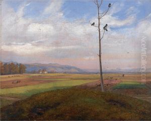 View over Fields near Dresden