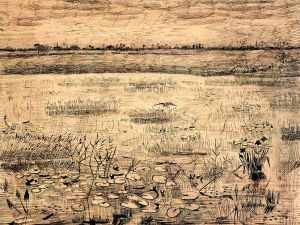 Marsh with Water Lilies by Vincent Van Gogh