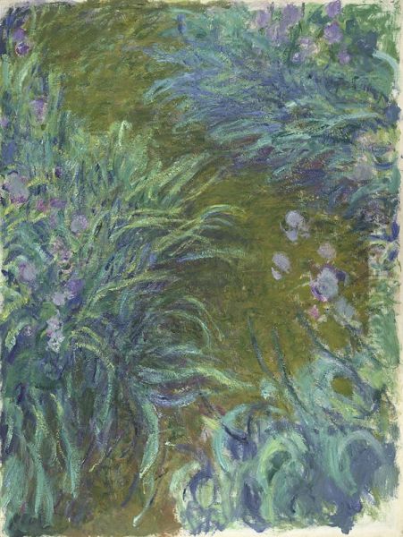 Irises - view 1