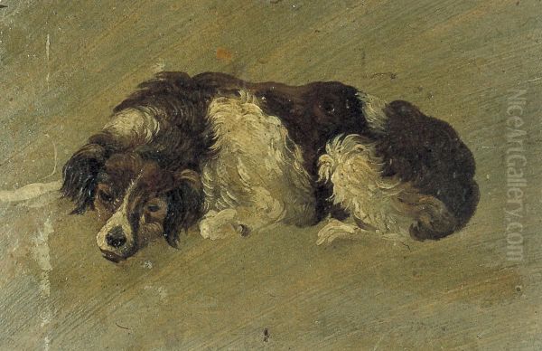 Dog - view 1