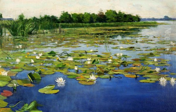 Water lilies - view 1