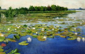 Water lilies