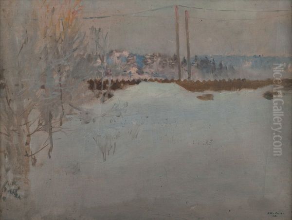 Sumuaamu (Malmilla) - view 1