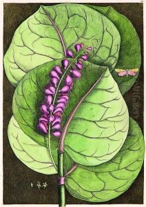 Mangrove Grape Tree by Mark Catesby