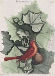 "sammlung Verschiedener Auslandischer Und Feltener Vogel...," by Mark Catesby